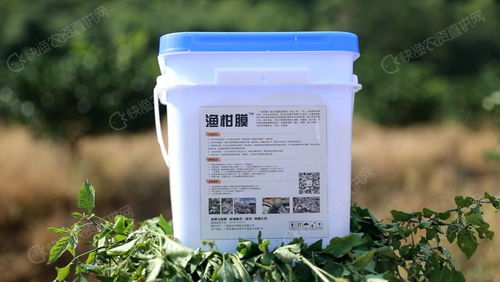 树木涂白剂哪个品牌口碑好？如何避免选购陷阱