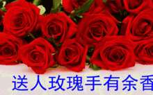 99朵玫瑰，代表长久的爱情与祝福