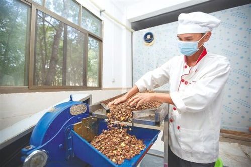 第五步：栽植搞“ICU监护”