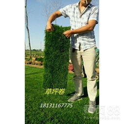 施工后对比，草坪的“神奇效果”