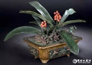 精美花卉盆景图片大全，原来盆景可以这么美