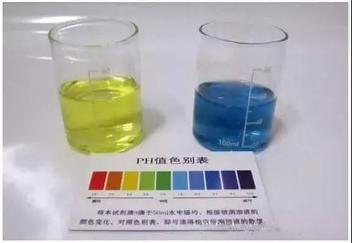 北方碱性水，如何巧妙变酸