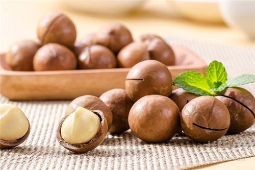 夏威夷果产自哪里？揭秘其神秘故乡