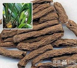 云杉树种植需要注意哪些技术细节和方法