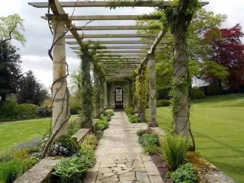 梁架式花架：常见又实用