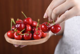 老果农的智慧箴言