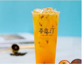 加盟山茶油品牌，哪种茶叶加盟项目更受市场欢迎？