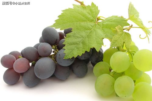 葡萄膨大剂：葡萄变大的秘密武器