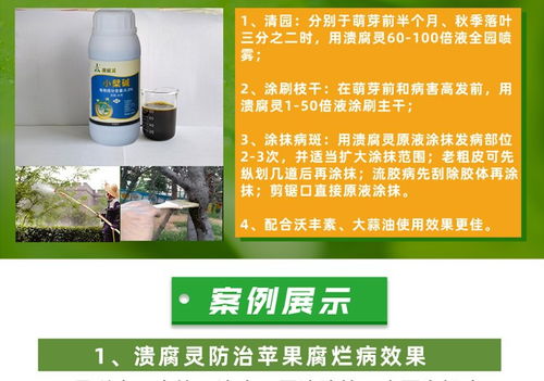 使用世高杀菌剂时需要注意的事项