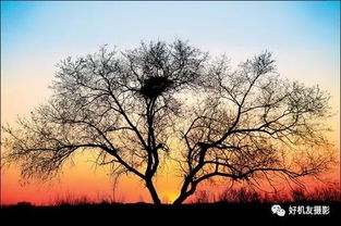 诀窍一：沙藏不一定非得Zuo