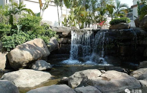 第三步：摆放石头， 打造层次感