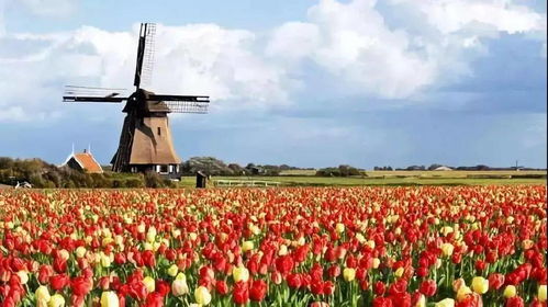 计划生育家庭花卉园艺师培训班， 致富之路在这里