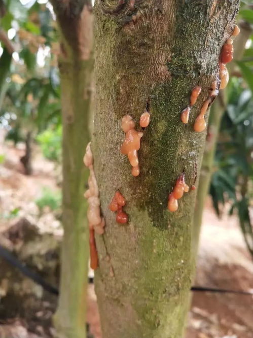 残留期是个啥？