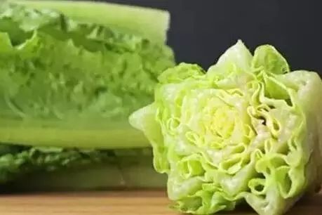 生菜：清新可口的小清新