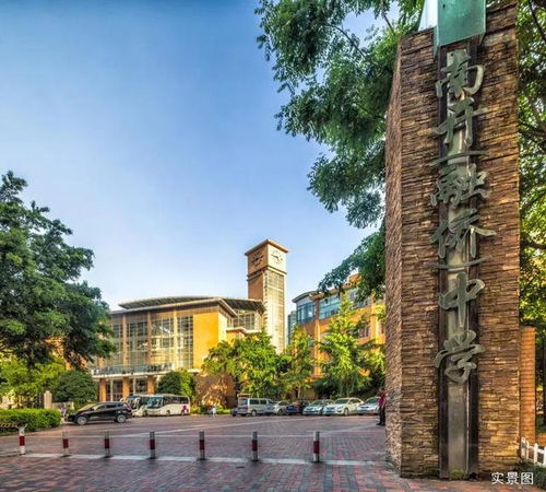 千层金的独特魅力