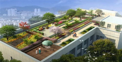 屋顶绿化如何打造城市绿色生态，提升城市居民生活质量