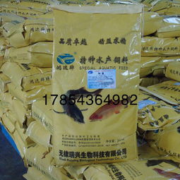 鲶鱼饲料配方中，哪种添加剂对促进鲶鱼生长效果最佳？