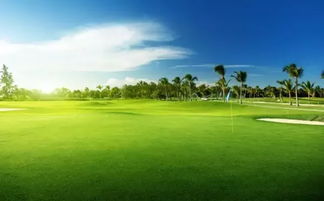 南方高尔夫球场草坪为何四季如茵？