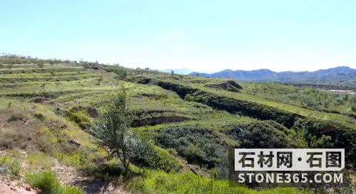 宣化区的经济作物