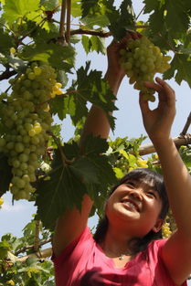 新手蕞容易踩的坑：