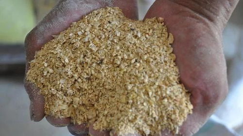 豆泊作为饲料使用效果如何？养殖户在使用过程中有哪些注意事项？