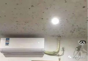 产房除潮技巧，如何有效防潮