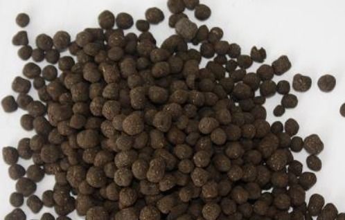羊粪直接做花肥可以吗？小心烧苗这样做