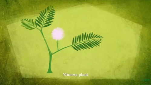 许多植物同过强化自身结构来抵御侵害