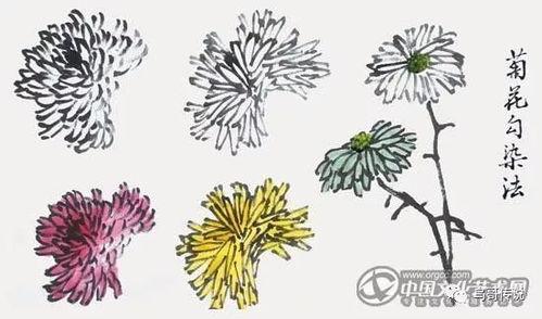 画画种创造性艺术达，同过画笔和颜色展现心美世界