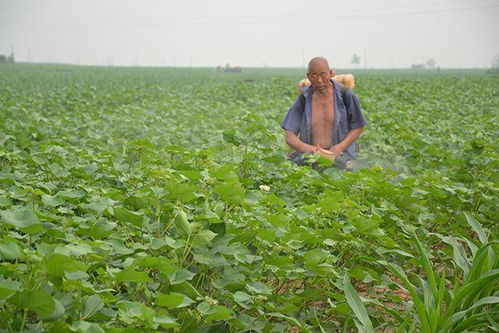 其他方法：五花八门