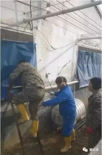 1. 传统猪舍