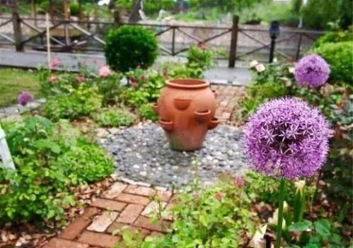 夏日花事，空窗期如何破？