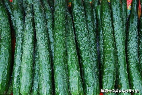 青瓜缺铁， 我试试这招