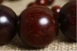 浇水要选好时间， 春秋两季浇水可随意，夏季避免在高温时分浇水，要选在傍晚或早上进行，冬季则要适当控水，浇水时间要在温暖的时候进行，维持土壤...