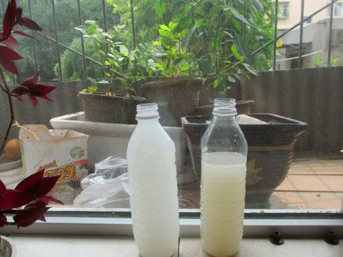 松针发酵制作花土：高效杀菌除虫技巧揭秘