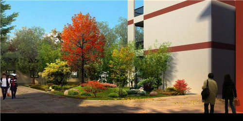 古树园林景观设计：地域特色的魅力展现