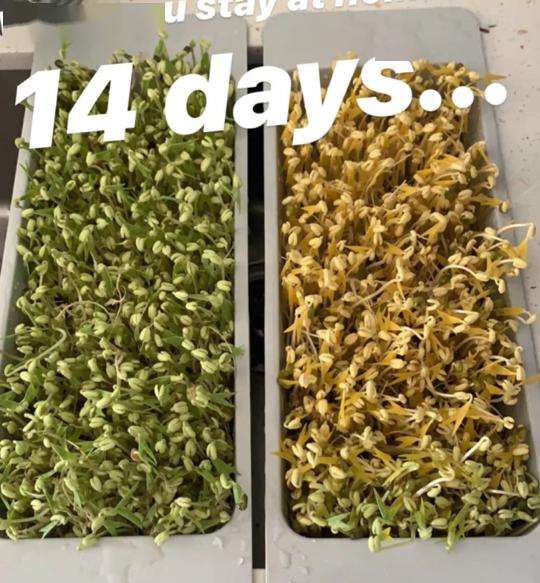 农药的购买与使用