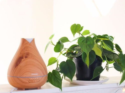 室内湿度提升方法