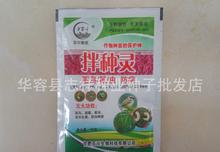 农药灌根：驱虫的神秘力量？