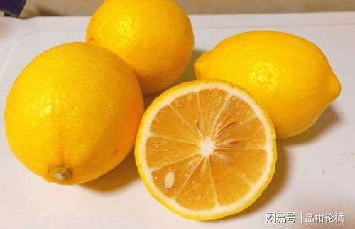 夏季浇水与施肥的注意事项