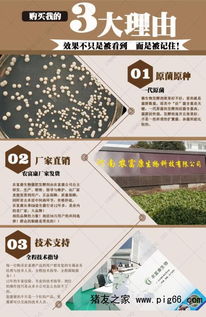 菜籽饼在养鸡中如何合理应用以提高饲料利用率？