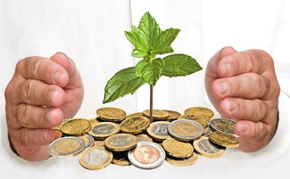 应对霉变的应急措施