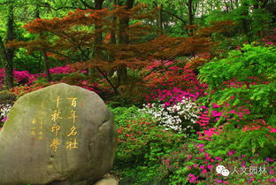 一、园林植物种植设计