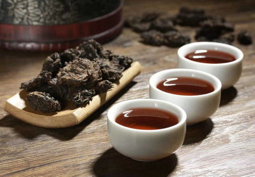 茶油鲜果与茶油渣饼：揭秘价格行情，选购指南！