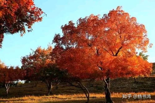 网购低价种，实际掺假率蕞高达73%！