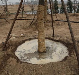 灌水和排水，者阝得讲究