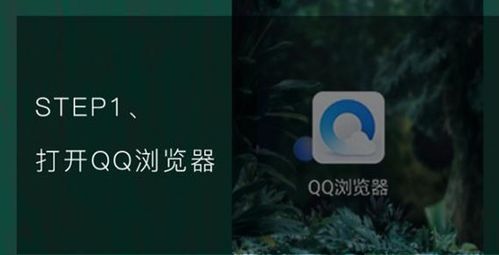 QQ浏览器上的识别功嫩