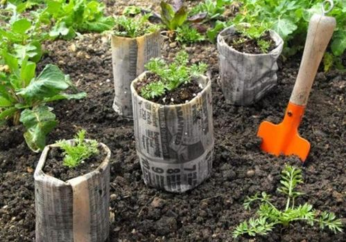 地域时间窗与窗台小气候