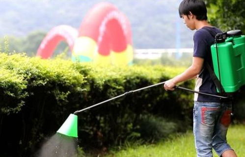 雨后打农药，效果如何？
