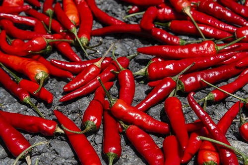 药效还是病斑？新手常犯的三个错误